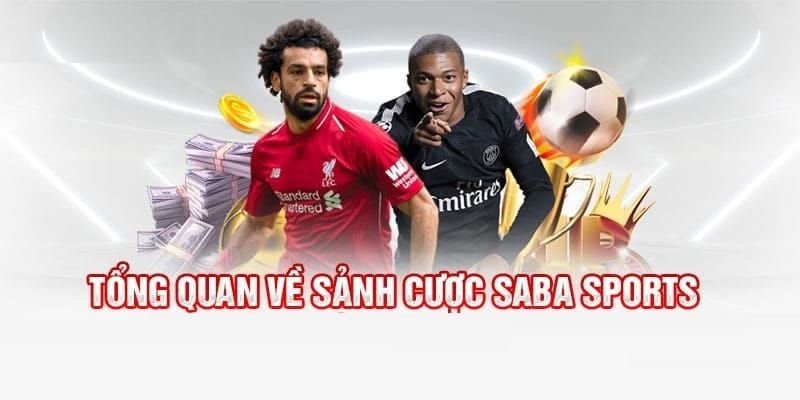 Giới thiệu sơ lược về sảnh cược Saba Sport