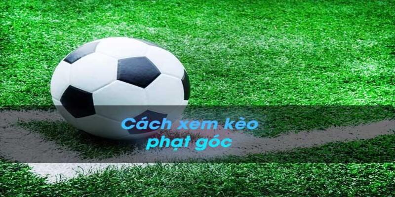 Hướng dẫn xem kèo chuẩn