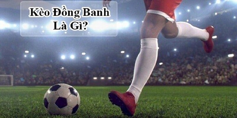 Tìm hiểu toàn bộ các thông tin bổ ích về kèo đồng banh trong bóng đá